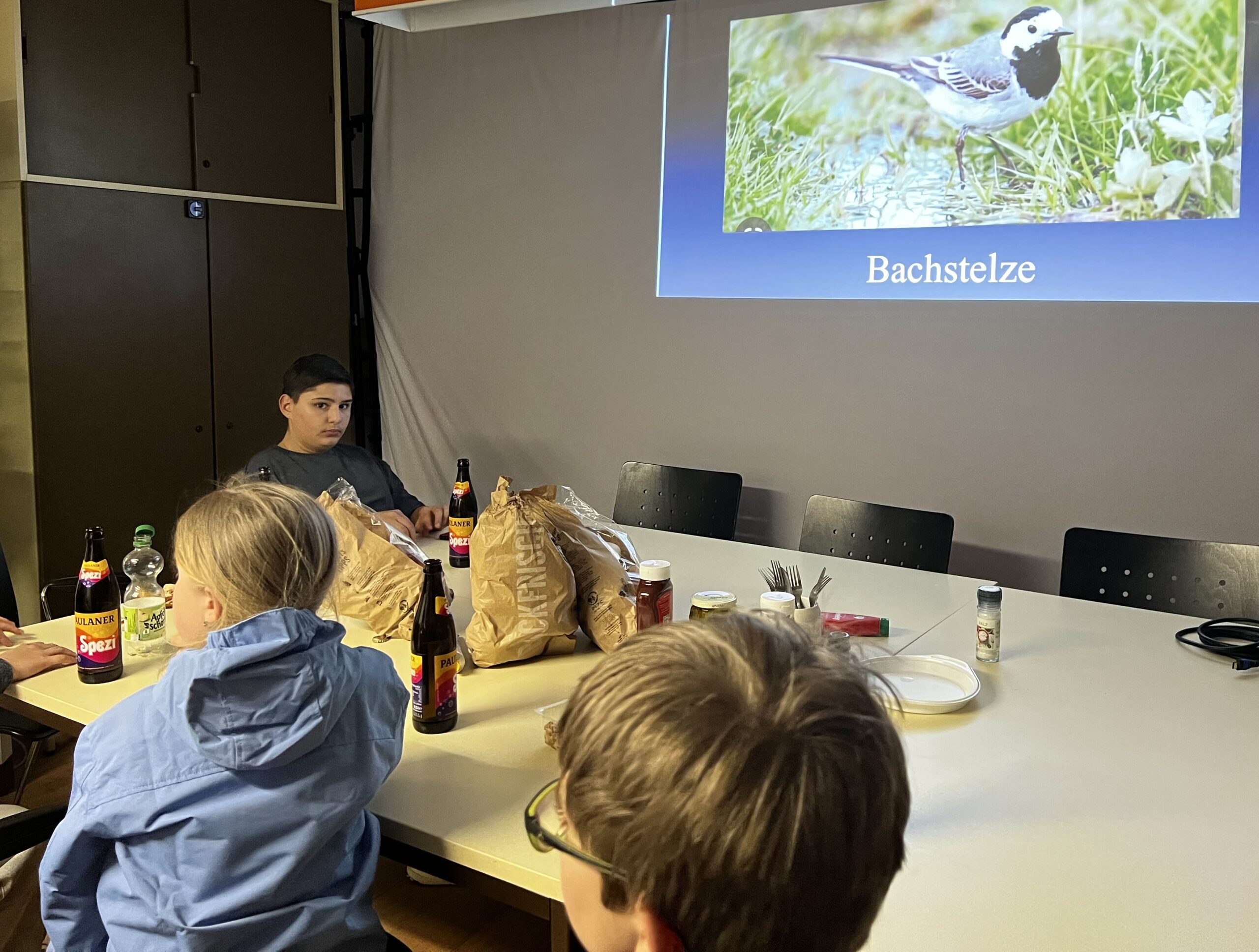 Workshop: Arten erkennen