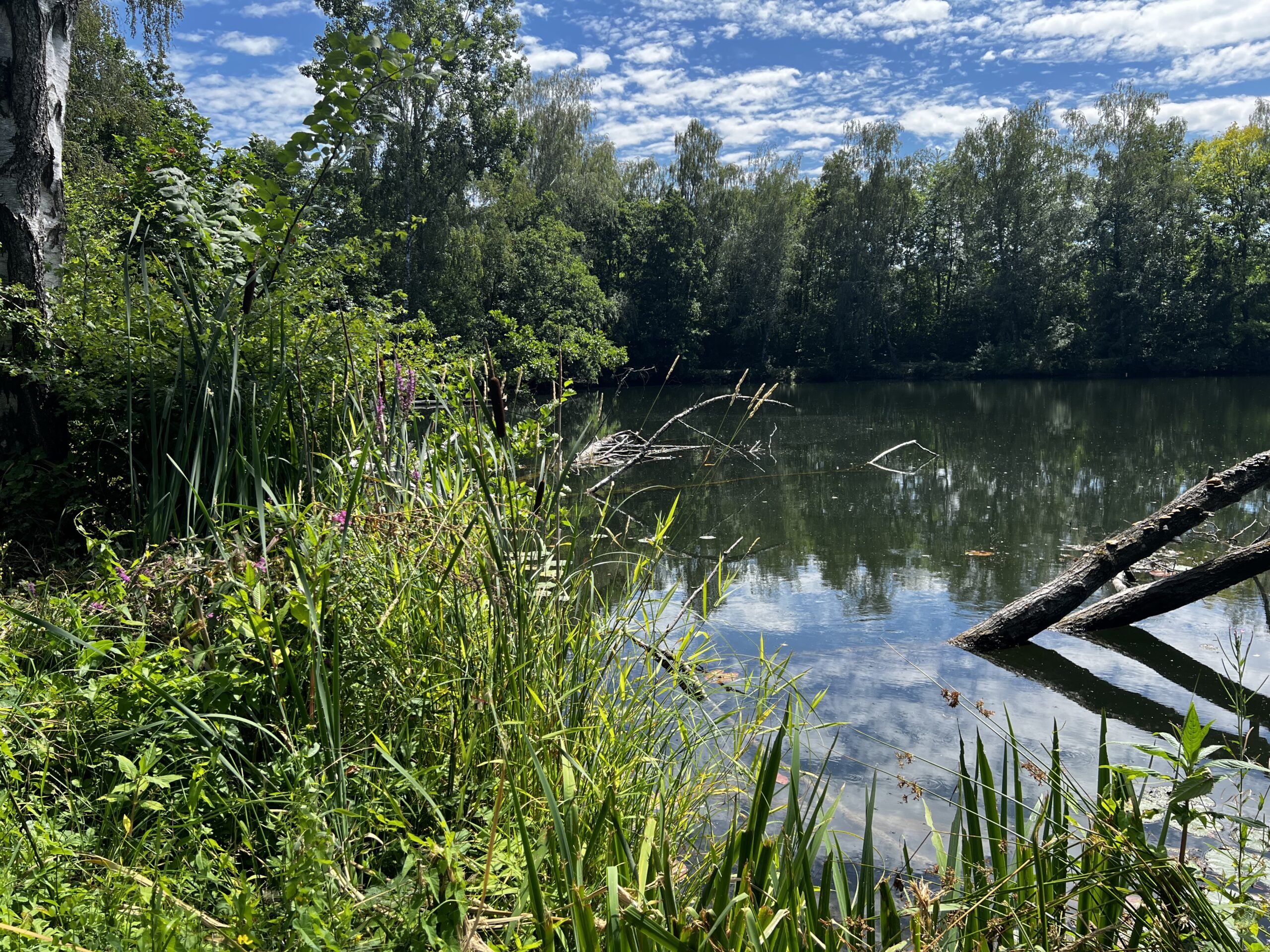 Waldseewochenende 2026
